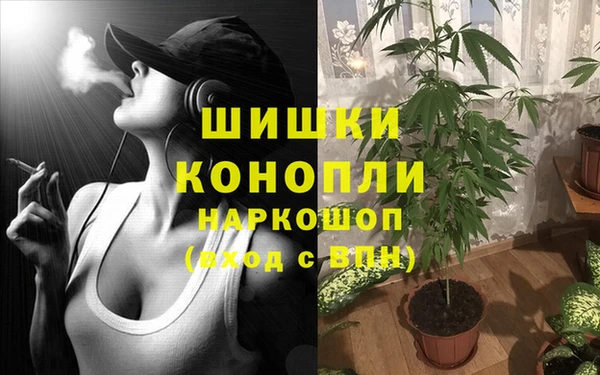 стаф Рославль