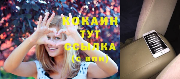 стаф Рославль