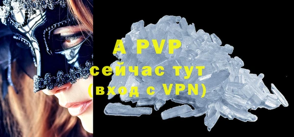 прущие крисы Абаза