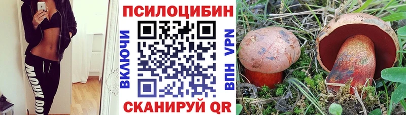 Галлюциногенные грибы Psilocybe  Белоозёрский 